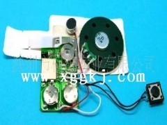 高秒數錄音IC 語音IC批發 - 門鈴IC - 集成電路(IC) - 電子元器件 - 供應 - 切它網(QieTa.com)